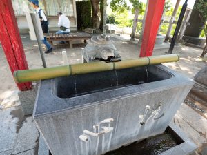 白子神社 亀蛇　　240518 (1 - 1)